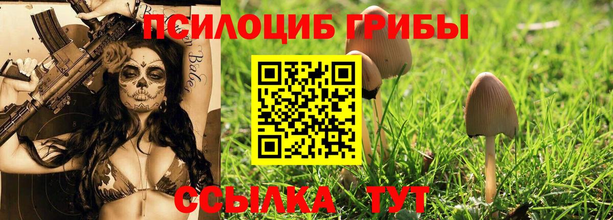 Галлюциногенные грибы Psilocybine cubensis Сланцы