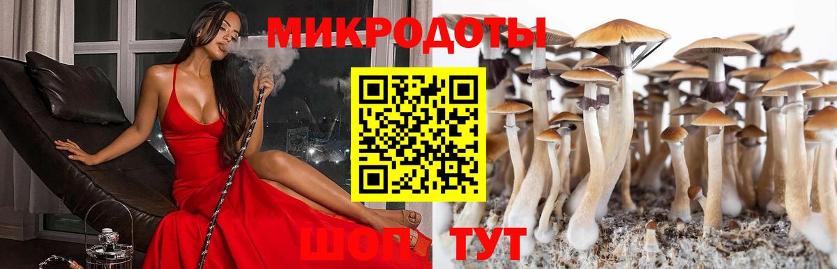 Галлюциногенные грибы GOLDEN TEACHER  Вход с VPN  Сланцы 